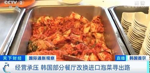 韩国爆料中国泡菜场视频,传统与创新交织的美食之旅 第2张 韩国爆料中国泡菜场视频,传统与创新交织的美食之旅 第2张