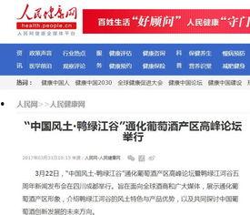 广东网红爆料新闻报道内容,揭秘网红圈幕后真相